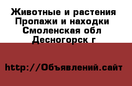 Животные и растения Пропажи и находки. Смоленская обл.,Десногорск г.